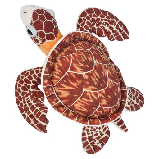 [53183] Ck-Mini Hawksbill Sea Turtle 25CM