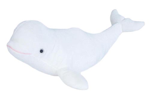 [53198] Ck Beluga