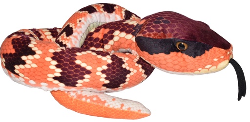 [53206] Snake Eastern Cottonmouth Ii