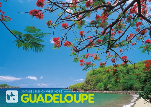 [64004] CP 10X15 GP G43