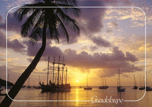 [64006] CP 10X15 GP G62