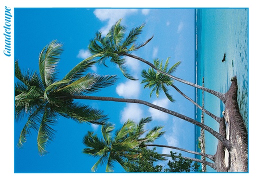 [64014] CP 10X15 GP G113