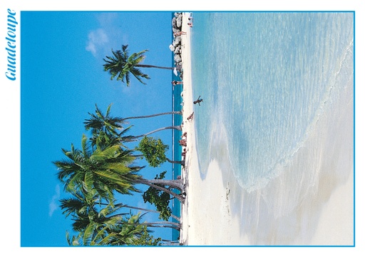 [64017] CP 10X15 GP G116