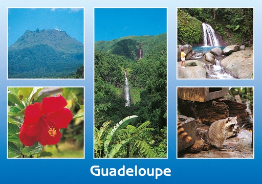 [64018] CP 10X15 GP G117