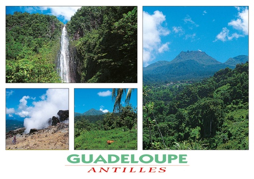 [64019] CP 10X15 GP G118