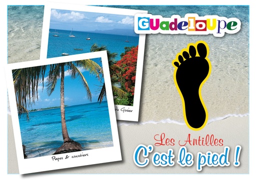 [64021] CP 10X15 GP G120