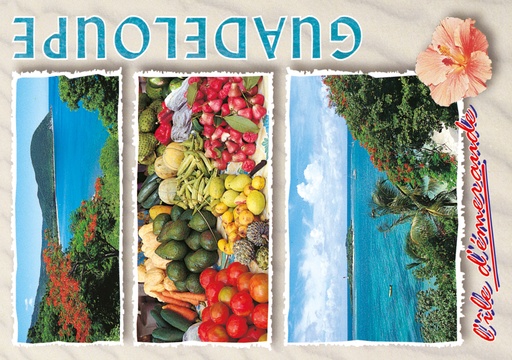 [64030] CP 10X15 GP G135