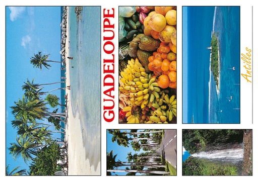 [64031] CP 10X15 GP G136