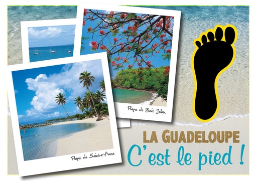 [64033] CP 10X15 GP G139