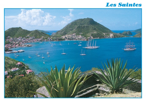 [64036] CP 10X15 GP G142