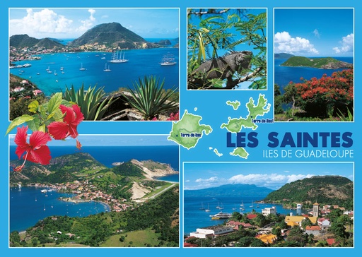 [64037] CP 10X15 GP G143