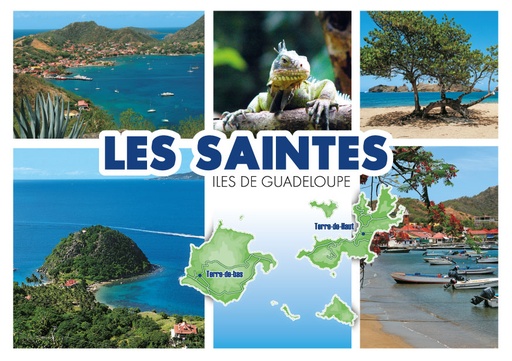 [64038] CP 10X15 GP G144