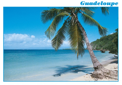 [64040] CP 10X15 GP G148