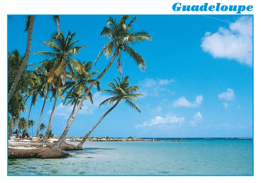 [64041] CP 10X15 GP G149