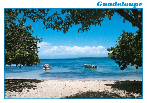 [64042] CP 10X15 GP G150