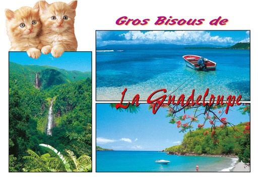 [64047] CP 10X15 GP G164