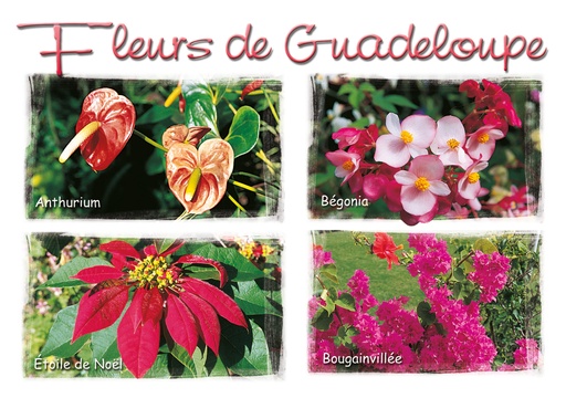 [64051] CP 10X15 GP G168