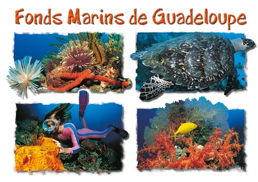 [64067] CP 10X15 GP G187