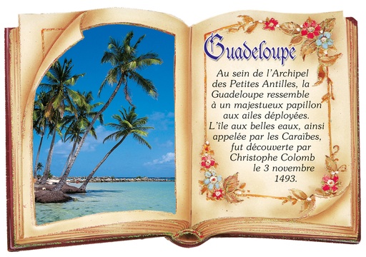 [64070] CP 10X15 GP G195