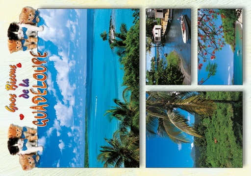 [64072] CP 10X15 GP G199