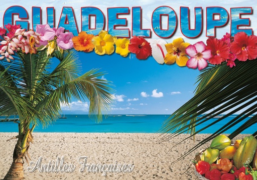 [64074] CP 10X15 GP G202