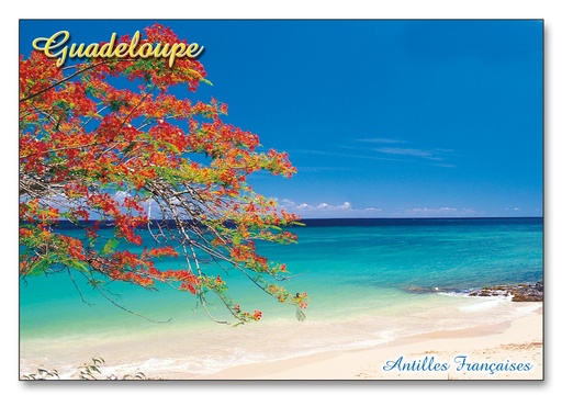 [64075] CP 10X15 GP G204