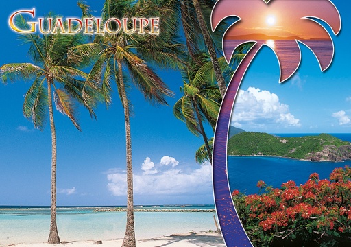 [64076] CP 10X15 GP G205