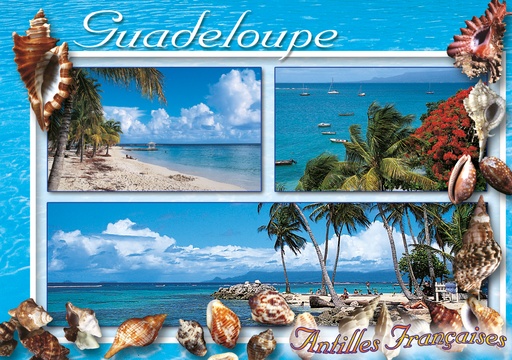 [64078] CP 10X15 GP G207