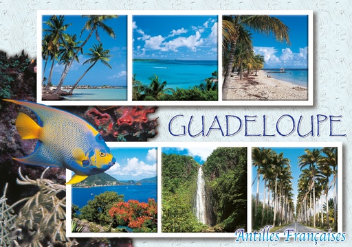 [64079] CP 10X15 GP G209