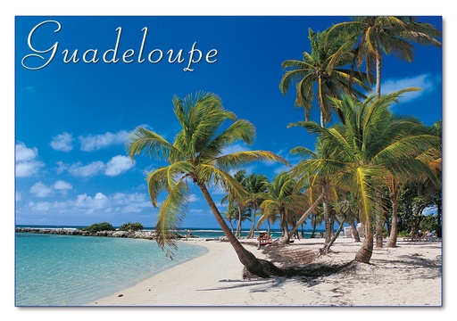 [64084] CP 10X15 GP G216