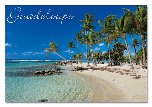 [64085] CP 10X15 GP G217