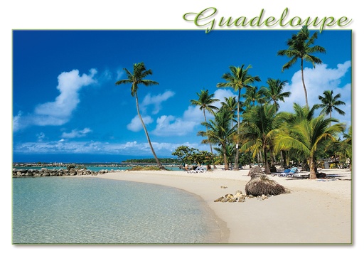 [64086] CP 10X15 GP G218