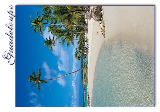 [64087] CP 10X15 GP G219