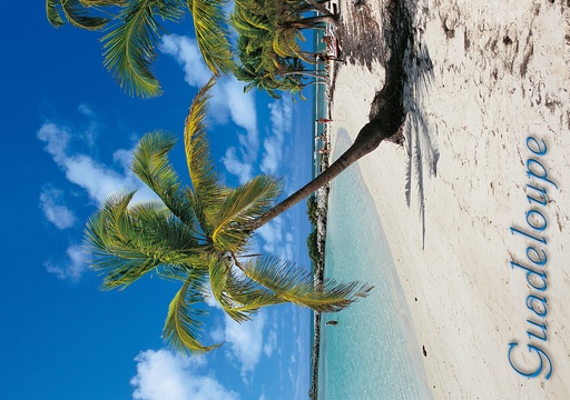 [64088] CP 10X15 GP G220