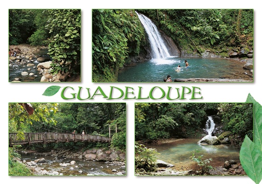 [64089] CP 10X15 GP G221