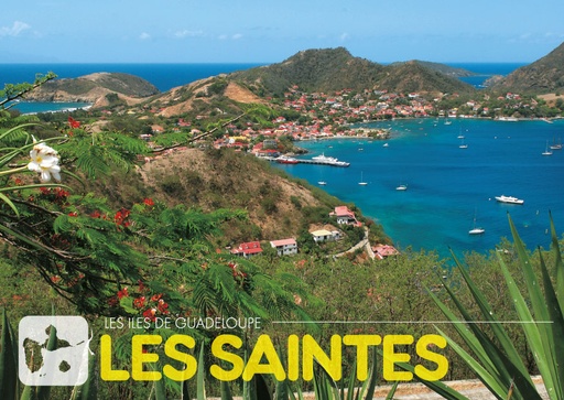 [64090] CP 10X15 GP G223