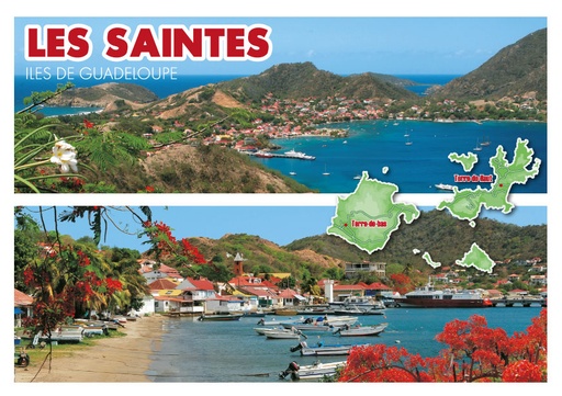 [64096] CP 10X15 GP G229