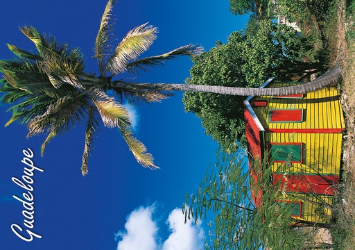 [64102] CP 10X15 GP G237