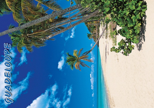 [64103] CP 10X15 GP G238