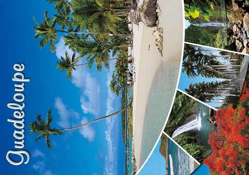 [64104] CP 10X15 GP G241