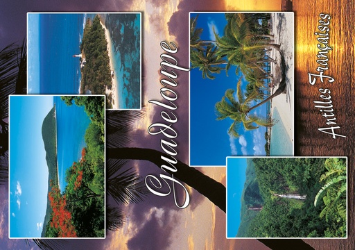 [64105] CP 10X15 GP G242