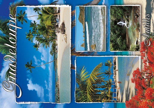 [64106] CP 10X15 GP G243