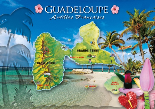 [64107] CP 10X15 GP G244