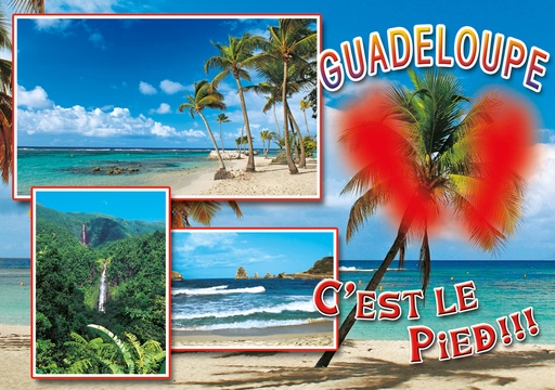 [64110] CP 10X15 GP G249