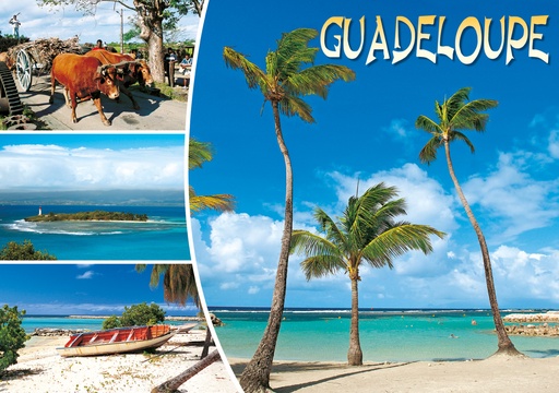 [64112] CP 10X15 GP G251