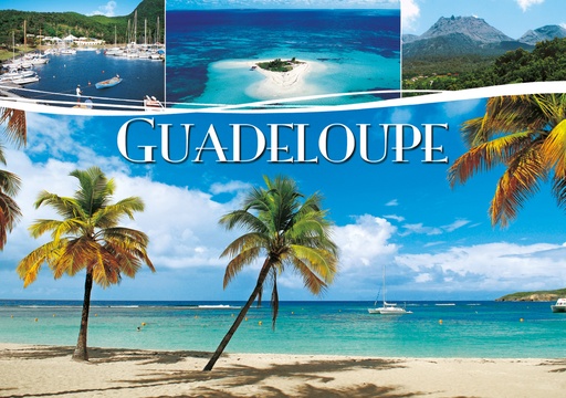 [64114] CP 10X15 GP G254