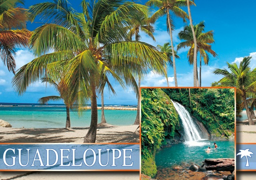 [64115] CP 10X15 GP G255