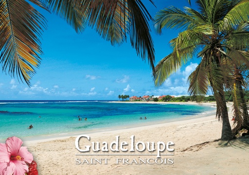 [64116] CP 10X15 GP G259