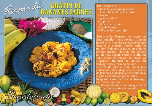 [64133] CP 10X15 GP G282