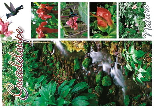 [64135] CP 10X15 GP G284